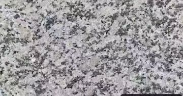 宁波 芙蓉白（芝麻白大花）火烧面