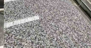 宁波 芙蓉白光面