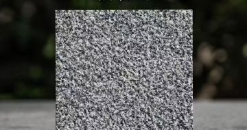 宁波 芝麻黑荔枝面