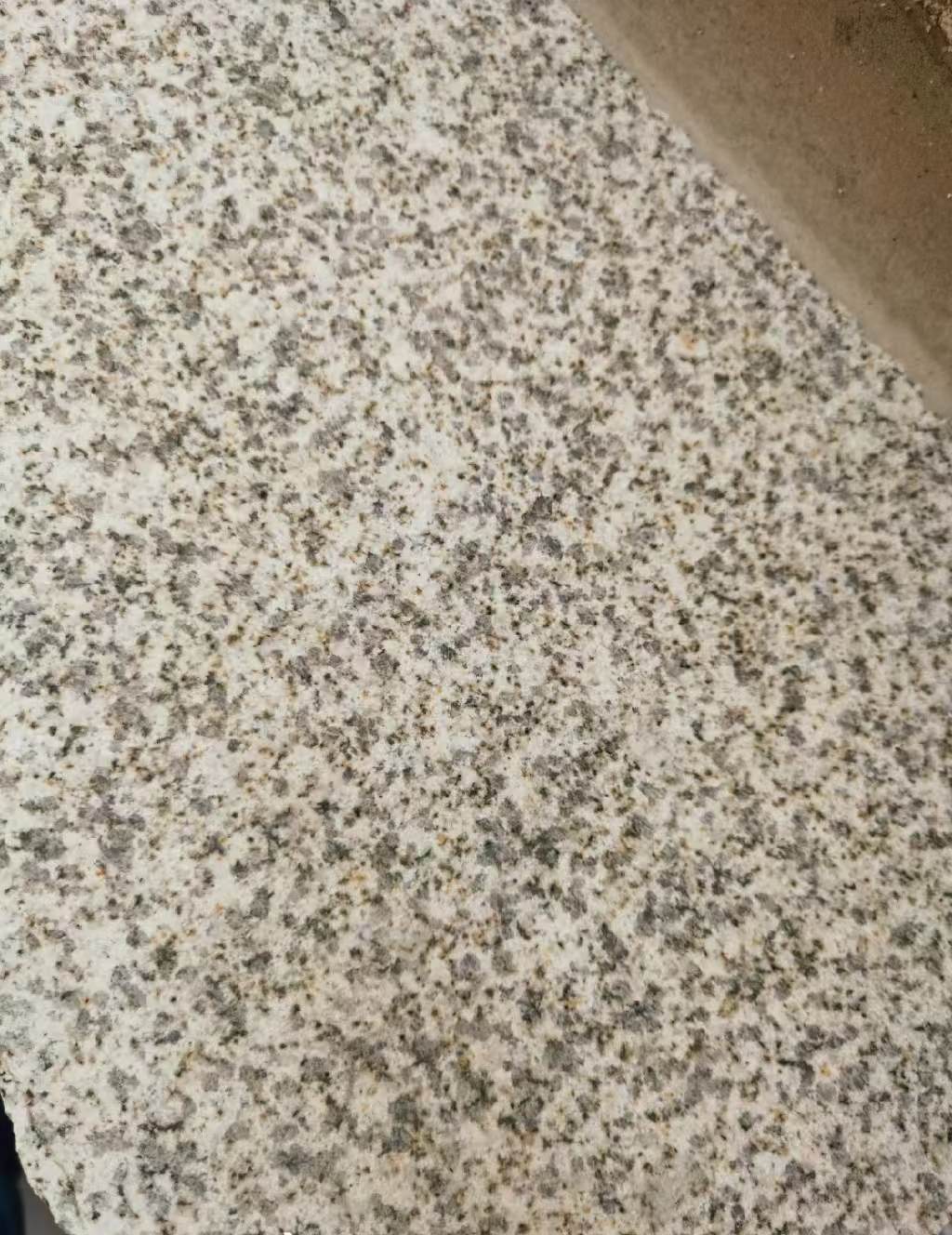 宁波 黄金麻中黄光面