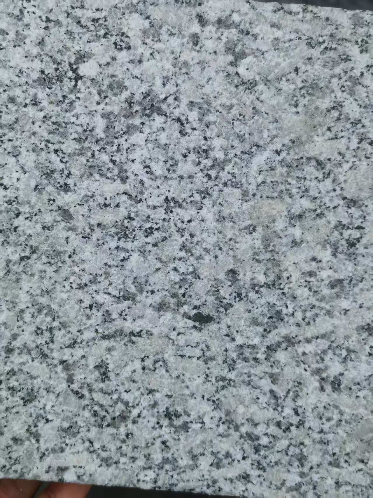 宁波 芙蓉白火烧面