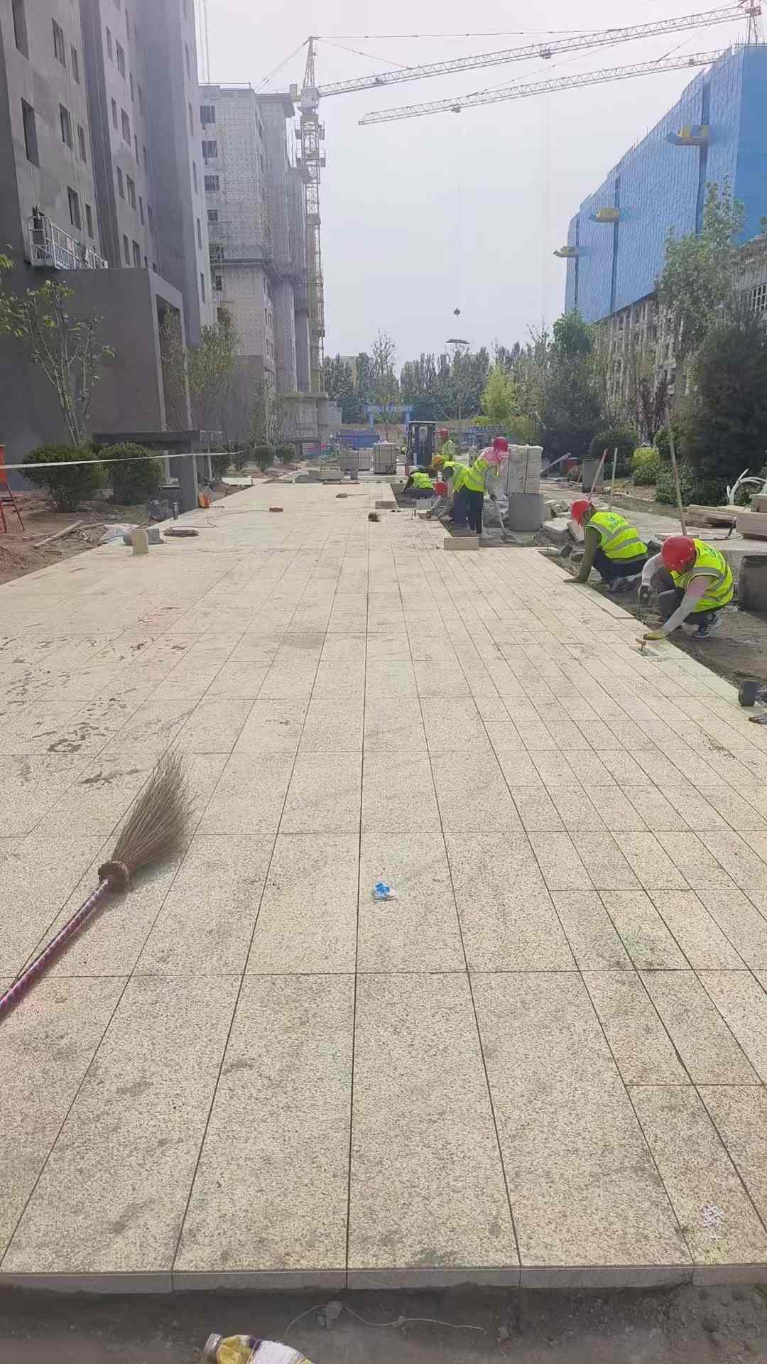 宁波黄金麻荔枝面地铺案例